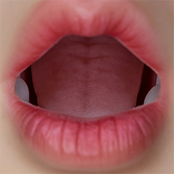 ROS Head with Real Skin Texture [+$300.00]